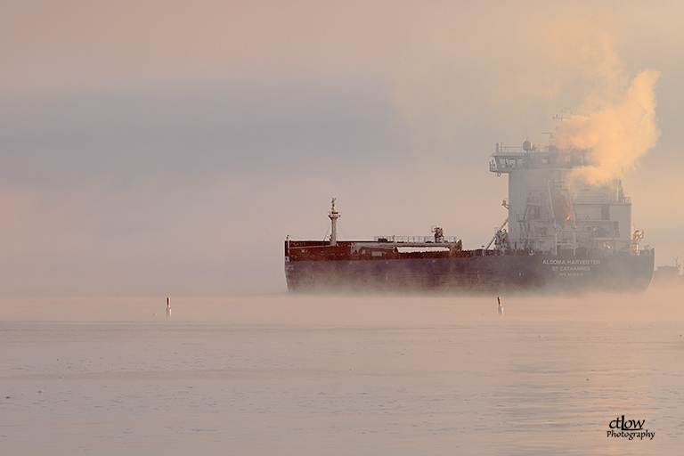 Algoma Harvester