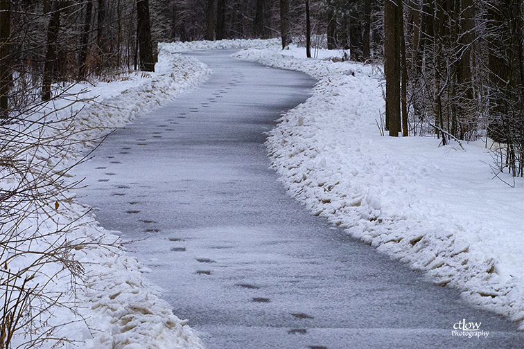 Brock Trail