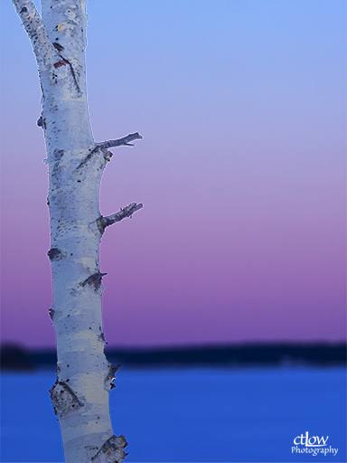 Winter Birch River uncontained