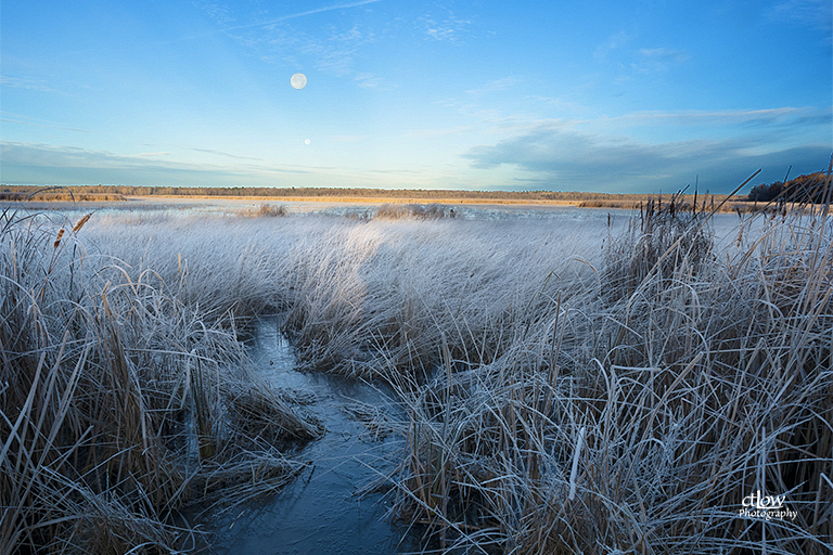 Back Pond Morning Frost Moon