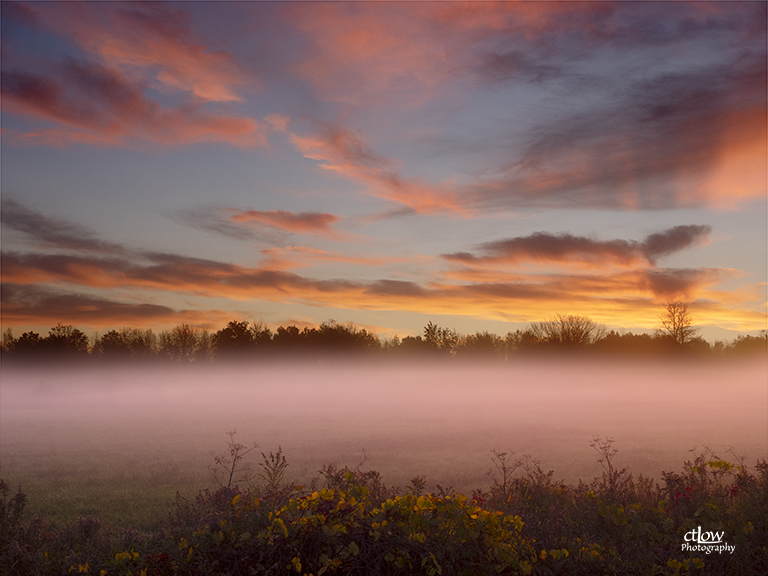 farm field dawn fog farm field dawn fog