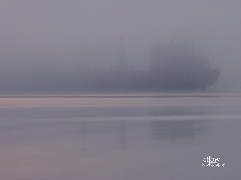 Federal Margaree fog