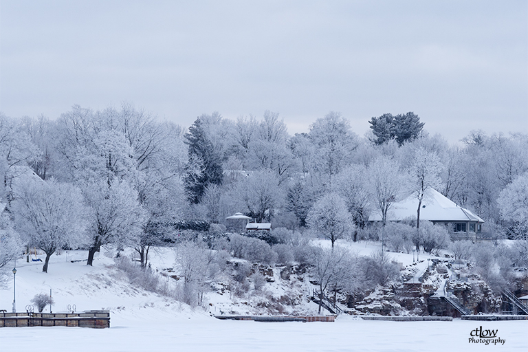 Brockville Waterfront Water Street frost trees