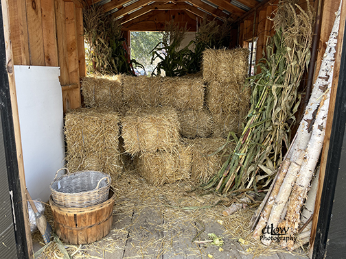 shed unedited