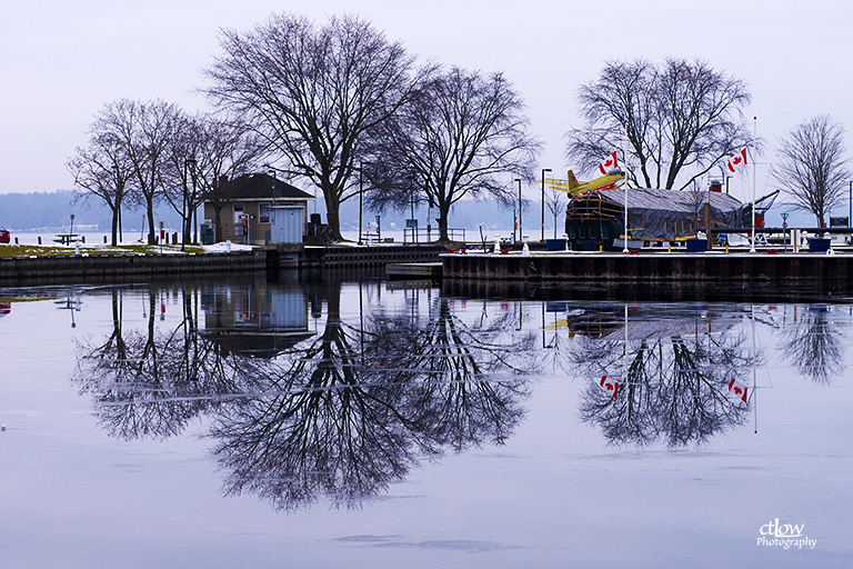 Tunnel Bay Ice – Tree Reflections