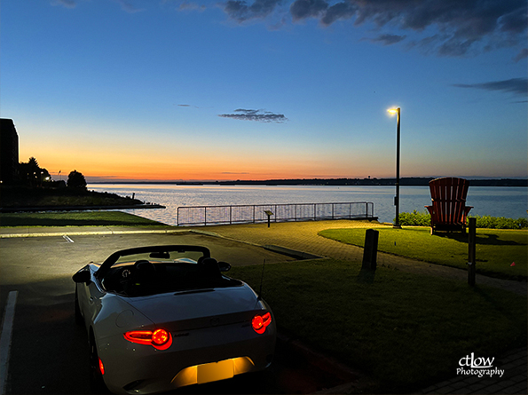 car, petals, dawn