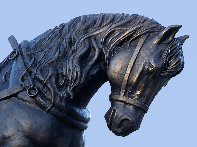 Canadian Horse